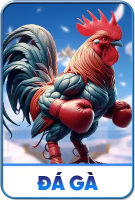 đá gà xx88